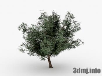 <!--{$arrProduct.name|h}-->