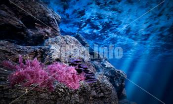 <!--{$arrProduct.name|h}-->