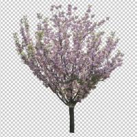 SHERPACK_添景切り抜き素材集VOL,2【中木編Ⅰ】