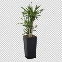 SHERPACK_添景切り抜き素材集VOL,3【観葉植物編Ⅰ】