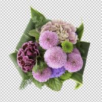 SHERPACK_添景切り抜き素材集VOL,4【花編Ⅰ】