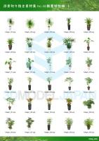 SHERPACK_添景切り抜き素材集VOL,3【観葉植物編Ⅰ】