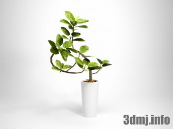 <!--{$arrProduct.name|h}-->