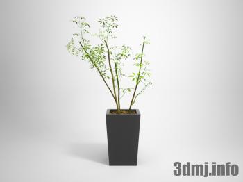 <!--{$arrProduct.name|h}-->