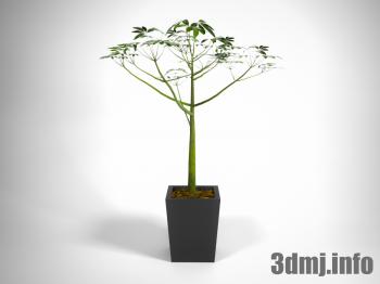 <!--{$arrProduct.name|h}-->