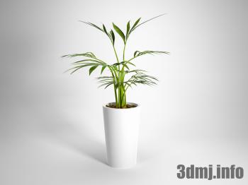 <!--{$arrProduct.name|h}-->