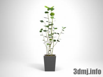 <!--{$arrProduct.name|h}-->