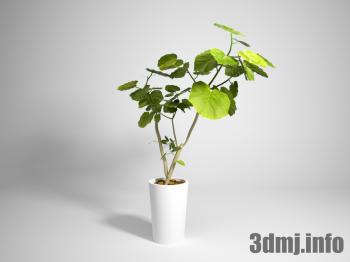 <!--{$arrProduct.name|h}-->