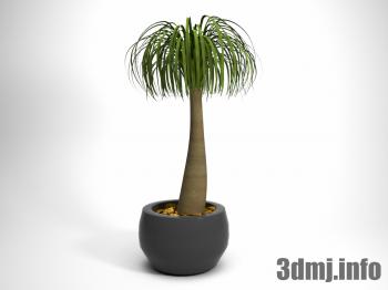 <!--{$arrProduct.name|h}-->