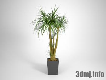 <!--{$arrProduct.name|h}-->