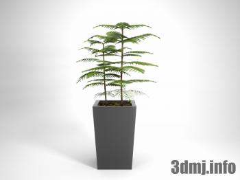 <!--{$arrProduct.name|h}-->