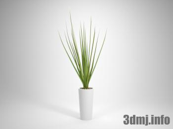 <!--{$arrProduct.name|h}-->