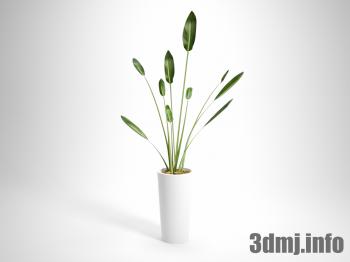 <!--{$arrProduct.name|h}-->