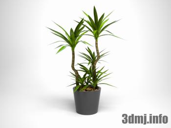 <!--{$arrProduct.name|h}-->