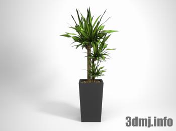 <!--{$arrProduct.name|h}-->