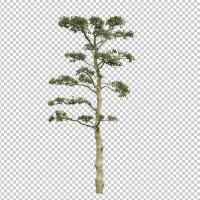 SHERPACK_添景切り抜き素材集VOL,5【高木編Ⅱ】