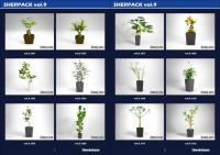 SHERPACK_vol.9【Indoor Plants】【ダウンロード版】