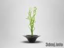 planter_022