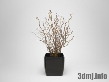 <!--{$arrProduct.name|h}-->